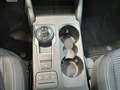 Ford Kuga Titanium - 2.0 EcoBlue 120 pk Azul - thumbnail 17