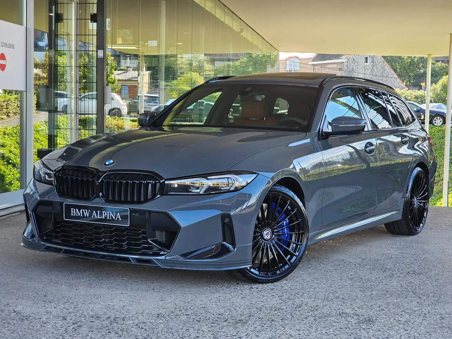 Alpina ALPINA D3S Touring Gris - 1