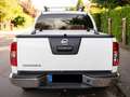Nissan Navara Navara Autm.LE Weiß - thumbnail 2