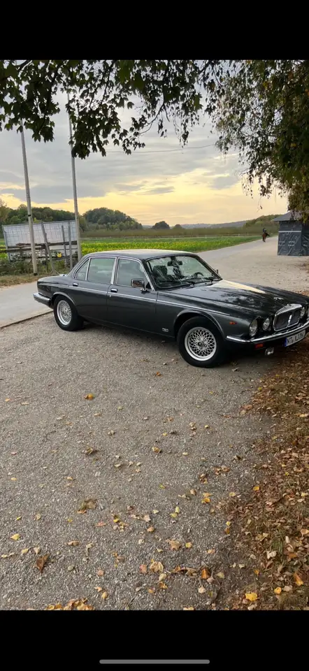 Jaguar Daimler Automatik Double Six, foto 9