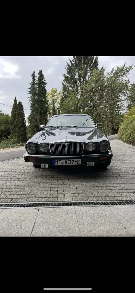 Jaguar Daimler Automatik Double Six, foto 8