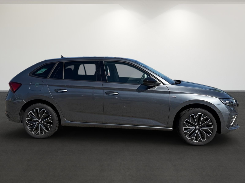 Skoda Scala TSI VirtualCockpit Matrix LED RFK Navi DAB — photo 4
