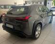 Lexus UX 250h Business 2wd cvt my21 Grigio - thumbnail 6