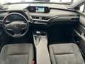 Lexus UX 250h Business 2wd cvt my21 Grigio - thumbnail 12