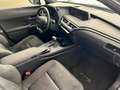 Lexus UX 250h Business 2wd cvt my21 Grigio - thumbnail 10