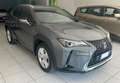 Lexus UX 250h Business 2wd cvt my21 Grigio - thumbnail 1