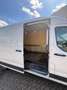 Maxus Deliver 9 Deliver 9 2.0 Fahrgestell L3 BASE Weiß - thumbnail 8