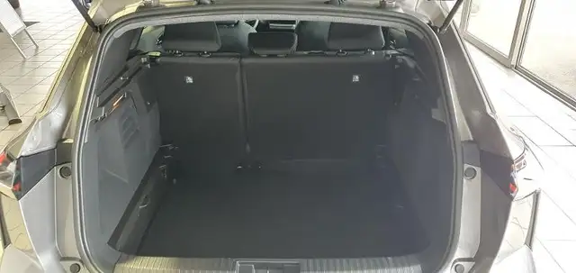 Mitsubishi Grandis view 14