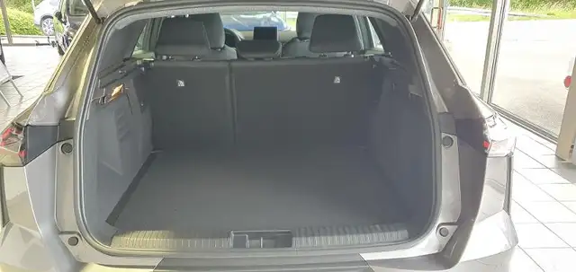 Mitsubishi Grandis view 13