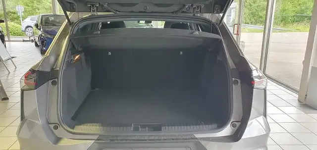Mitsubishi Grandis view 12