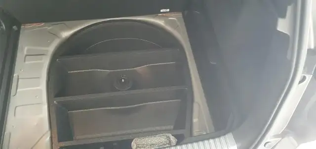 Mitsubishi Grandis view 15