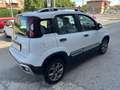 Fiat Panda Cross 1.3 MJT S&S 4x4 Bianco - thumbnail 5