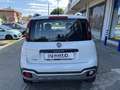Fiat Panda Cross 1.3 MJT S&S 4x4 Bianco - thumbnail 6