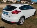 Ford Focus 1.0 Ecoboost Titanium 125 Blanc - thumbnail 7