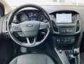 Ford Focus 1.5 TDCi 120 CV Start&Stop SW Business Grigio - thumbnail 3