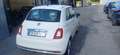 Fiat 500 1.2 Collezione easypower Gpl 69cv c/sensori parche - thumbnail 2