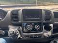 Fiat Ducato Ducato 35 XLH1  2.2 mjt3 140cv cassone fisso Bianco - thumbnail 8