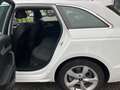 Audi A4 A4 Avant 30 TDI/136 CV S tronic Business Advanced Bianco - thumbnail 6