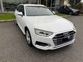 Audi A4 A4 Avant 30 TDI/136 CV S tronic Business Advanced Bianco - thumbnail 1