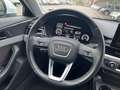Audi A4 A4 Avant 30 TDI/136 CV S tronic Business Advanced Bianco - thumbnail 11