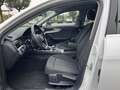 Audi A4 A4 Avant 30 TDI/136 CV S tronic Business Advanced Bianco - thumbnail 5