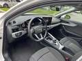 Audi A4 A4 Avant 30 TDI/136 CV S tronic Business Advanced Bianco - thumbnail 13