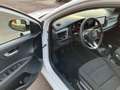 Kia Rio 1,0 Spirit Navi Kamera BLIS 17" Weiß - thumbnail 15