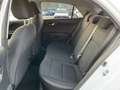 Kia Rio 1,0 Spirit Navi Kamera BLIS 17" Weiß - thumbnail 19
