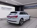 Audi e-tron 55 Q S LINE PANO MATRIX NAVI+ LM21 PDC Weiß - thumbnail 5