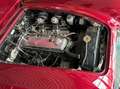 Austin-Healey 100 -six BN4 Roadster im Topzustand Rot - thumbnail 13