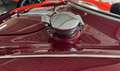 Austin-Healey 100 -six BN4 Roadster im Topzustand Rot - thumbnail 16