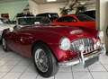 Austin-Healey 100 -six BN4 Roadster im Topzustand crvena - thumbnail 2