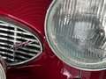 Austin-Healey 100 -six BN4 Roadster im Topzustand Red - thumbnail 15