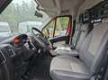 Fiat Ducato Hochr.-Kasten 35  netto 7800 € Rot - thumbnail 14