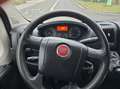 Fiat Ducato Hochr.-Kasten 35  netto 7800 € Rot - thumbnail 15