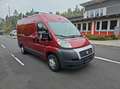 Fiat Ducato Hochr.-Kasten 35  netto 7800 € Rot - thumbnail 7