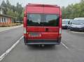 Fiat Ducato Hochr.-Kasten 35  netto 7800 € Rot - thumbnail 6