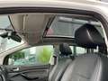Ford Kuga Titanium/PDC/AHK/LM-FELGEN/NAVI/PANORAMA! Weiß - thumbnail 6