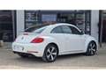 Volkswagen Coccinelle NOUVELLE 2.0 16V TDI BlueMotion - 150 R-LINE Blanco - thumbnail 9