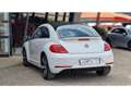 Volkswagen Coccinelle NOUVELLE 2.0 16V TDI BlueMotion - 150 R-LINE Blanco - thumbnail 13
