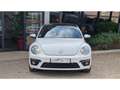Volkswagen Coccinelle NOUVELLE 2.0 16V TDI BlueMotion - 150 R-LINE Blanco - thumbnail 7
