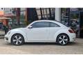 Volkswagen Coccinelle NOUVELLE 2.0 16V TDI BlueMotion - 150 R-LINE Blanco - thumbnail 2
