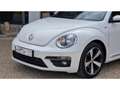 Volkswagen Coccinelle NOUVELLE 2.0 16V TDI BlueMotion - 150 R-LINE Blanco - thumbnail 3