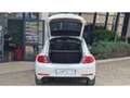 Volkswagen Coccinelle NOUVELLE 2.0 16V TDI BlueMotion - 150 R-LINE Blanco - thumbnail 15