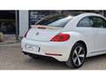 Volkswagen Coccinelle NOUVELLE 2.0 16V TDI BlueMotion - 150 R-LINE Blanco - thumbnail 11