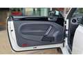 Volkswagen Coccinelle NOUVELLE 2.0 16V TDI BlueMotion - 150 R-LINE Blanco - thumbnail 20