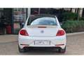 Volkswagen Coccinelle NOUVELLE 2.0 16V TDI BlueMotion - 150 R-LINE Blanco - thumbnail 14