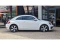 Volkswagen Coccinelle NOUVELLE 2.0 16V TDI BlueMotion - 150 R-LINE Blanco - thumbnail 10