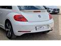 Volkswagen Coccinelle NOUVELLE 2.0 16V TDI BlueMotion - 150 R-LINE Blanco - thumbnail 12