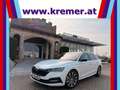 Skoda Octavia Combi 2,0 TDI 4x4 Style DSG/AHK/RFK/VIRTUAL-C./... Weiß - thumbnail 1